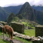 Machu Picchu, ciudadela magestuosa.