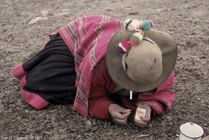 En el Cusco el cortometraje es internacional