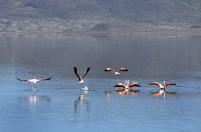 Laguna de Parinacochas, edén de la sierra peruana